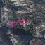 7358 SQM Land for sale in Anogyra, Limassol thumbnail 15157869