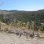 6021 SQM Land for sale in Mousere, Paphos thumbnail 15600371