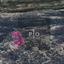 land for sale anogyra limassol 8275143 thumbnail 15157861