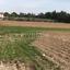plot for sale kiti larnaca 1926143 thumbnail 16615650