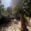 2 bedroom semi detached house for sale oroklini larnaca 8804343 thumbnail 16787065