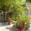 land for sale alethriko larnaca 7957343 thumbnail 11395466