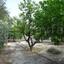 land for sale alethriko larnaca 7957343 thumbnail 11395468