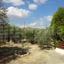 land for sale alethriko larnaca 7957343 thumbnail 11395477