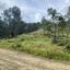land for sale pano pyrgos nicosia 8140343 thumbnail 15596163