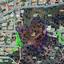 land for sale psevdas larnaca 1336343 thumbnail 15598864