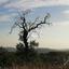 land for sale vouni limassol 1146343 thumbnail 9462739