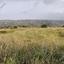 land for sale vouni limassol 8630343 thumbnail 16656711