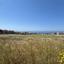 plot for sale peyia paphos 8587343 thumbnail 15682107