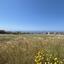 plot for sale peyia paphos 8587343 thumbnail 15682116