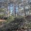 21690 SQM Land for sale in Moniatis, Limassol thumbnail 15422552
