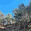 land for sale moniatis limassol 1619443 thumbnail 15422551