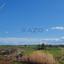 land for sale peristerona lefkosias nicosia 8281443 thumbnail 14087335