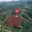 land for sale flasou nicosia 7957543 thumbnail 16519269
