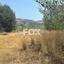 land for sale foinikaria limassol 1395543 thumbnail 5609530