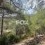 land for sale foinikaria limassol 1395543 thumbnail 5609565
