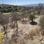 land for sale lasa paphos 1464543 thumbnail 17343430