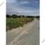 land for sale tochni larnaca 8463543 thumbnail 15137661