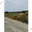land for sale tochni larnaca 8463543 thumbnail 15137664