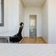 2 bedroom apartment for rent linopetra limassol 8639643 thumbnail 16634180