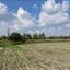 land for sale ergates nicosia 1380643 thumbnail 3382898