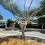 studio commercial building for rent kapsalos limassol 1731643 thumbnail 5690337