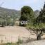 land for sale agios mamas limassol 1263743 thumbnail 14456185