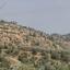 land for sale kampia nicosia 8726743 thumbnail 16333616