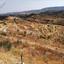land for sale vouni limassol 962743 thumbnail 15600829