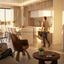 1 bedroom apartment for sale aradippou larnaca 8804843 thumbnail 16802560
