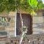 2 bedroom detached house for sale kato platres limassol 8960843 thumbnail 18380644