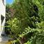 3 bedroom detached house for rent pyrgos limassol limassol 1475843 thumbnail 16610179