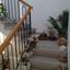 3 bedroom detached house for sale aglantzia nicosia 976843 thumbnail 11047329
