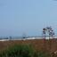 land for sale agios theodoros larnacas larnaca 7737843 thumbnail 10195397