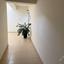 2 bedroom apartment for sale deryneia famagusta 8611943 thumbnail 15906694