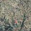 land for sale letymvou paphos 939943 thumbnail 15598796