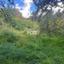 land for sale tremithousa paphos 1160943 thumbnail 10031689