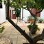 1 bedroom ground floor apartment for rent agios dometios nicosia 8880053 thumbnail 17289090