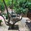1 bedroom ground floor apartment for rent agios dometios nicosia 8880053 thumbnail 17289091