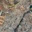 land for sale archangelos nicosia 1586053 thumbnail 6046717