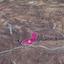 land for sale kelokedara paphos 1213053 thumbnail 14888806