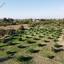 land for sale pera orinis nicosia 8645053 thumbnail 15928018