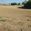 land for sale timi paphos 8395053 thumbnail 14815748