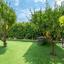 3 bedroom detached house for rent konia paphos 8765153 thumbnail 16557706