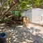 4 bedroom detached house for sale linopetra limassol 8375153 thumbnail 15277390
