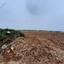 land for sale agios theodoros larnacas larnaca 957153 thumbnail 15603214
