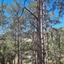 land for sale moniatis limassol 1546153 thumbnail 5870644