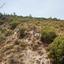 land for sale trimiklini limassol 7495153 thumbnail 15596963