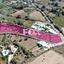 land for sale drousia paphos 1358253 thumbnail 9384478