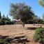 3 bedroom detached house for sale aphrodite hills paphos 1798353 thumbnail 15008375